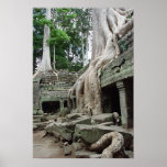 Tree Roots at Ta Phrom Print
