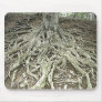 Tree Roots Mouse Pads