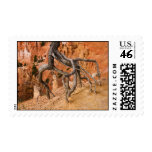 Tree Roots Stamp