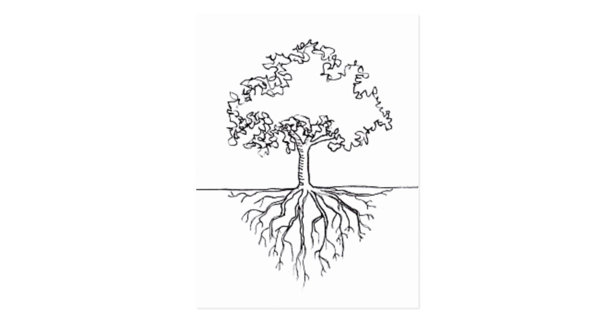 Tree Roots Postcard Zazzle