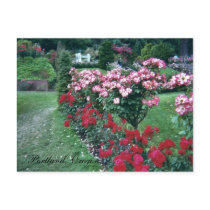 Tree Roses, Portland, Oregon postcards