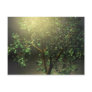 Tree Screen Post Card