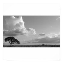 tree screen posters by ianminter tree screen posters