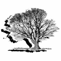 Tree Sculpture photo sculptures