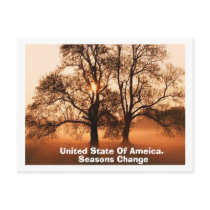 Tree, Seasons Change, United State Of Ameica. postcards by adeolagbadamosi Tree, Seasons Change, United State Of Ameica. postcards