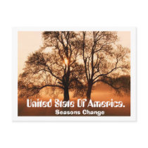 Tree, Seasons Change, United State Of Ameica. postcards by adeolagbadamosi Tree, Seasons Change, United State Of Ameica. postcards