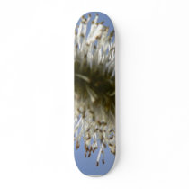 Tree Seed skateboards by lifesphere Tree Seed skateboards