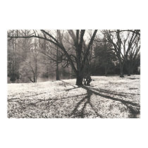 Tree Shadow posters