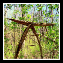 TREE SIGN posters