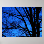 Tree Silhouette at Night Poster