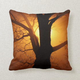 Tree Silhouette at Sunset Accent Throw Pillow