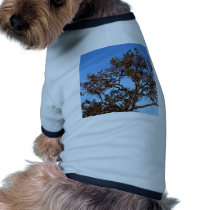 tree  silhouette pet clothing