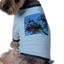 tree  silhouette pet clothing