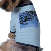 tree  silhouette pet clothing