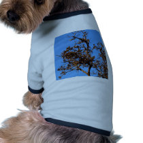 tree  silhouette pet clothing