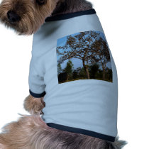 tree  silhouette pet clothing