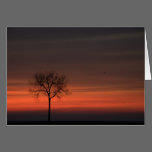 Tree Silhouette Greeting Card cards