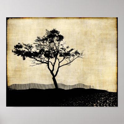 tree silhouette art. Cartel del arte de la foto de