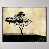 Tree Silhouette Photo Art Poster