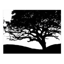 Tree Silhouette Post Card