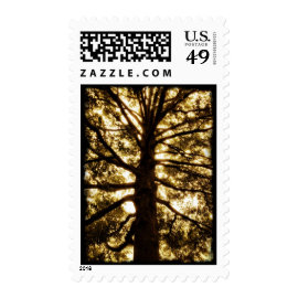 Tree Silhouette Postage Stamps