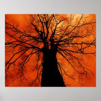 Tree Silhouette - Poster