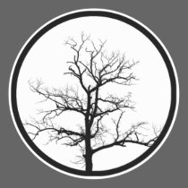Tree Silhouette stickers