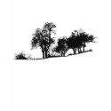 Tree silhouette t-shirts