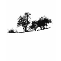 Tree silhouette