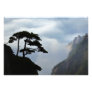 Tree silhouetted at sunrise, Yellow Mountain,