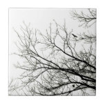 Tree Silhouettes - tile