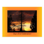 Tree Silhoutte Sunset Postcards