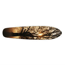 Tree skateboards