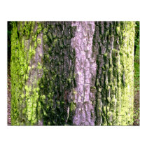 Tree Skins posters