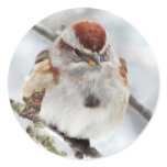 Tree Sparrow in Winter Round Stickers