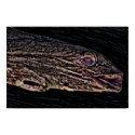 Tree Spirit Poster posters
