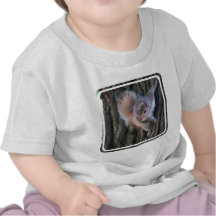 Tree Squirrel  Baby T-Shirt