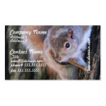 Tree Squirrel Business Cards