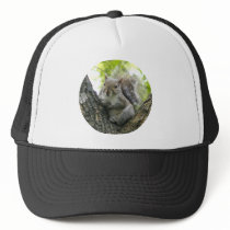Tree Squirrel hats