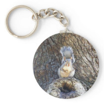 TREE SQUIRREL keychains