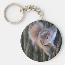 Tree Squirrel  Keychain