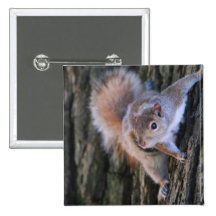 Tree Squirrel  Pin