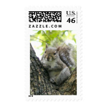 Tree Squirrel stamps