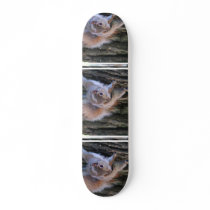 Tree Squirrel  Skateboard