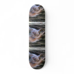 Tree Squirrel  Skateboard