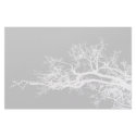 tree stationery
