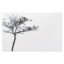 tree stationery
