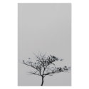 tree stationery