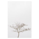 tree stationery