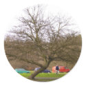Tree stickers by Moondial Tree stickers
